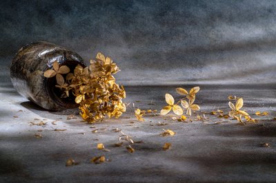 - Igor Kopcev
