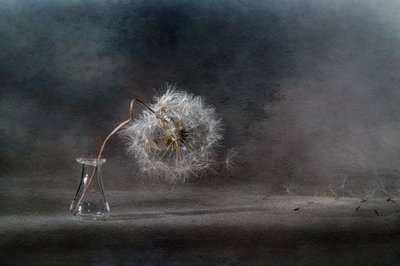  - Igor Kopcev
