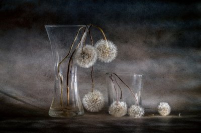  - Igor Kopcev