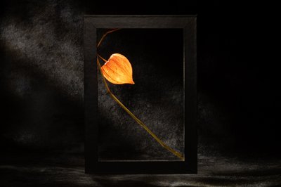  - Igor Kopcev
