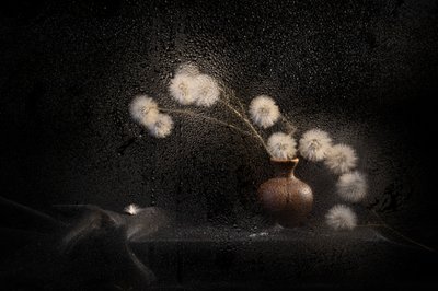  - Igor Kopcev