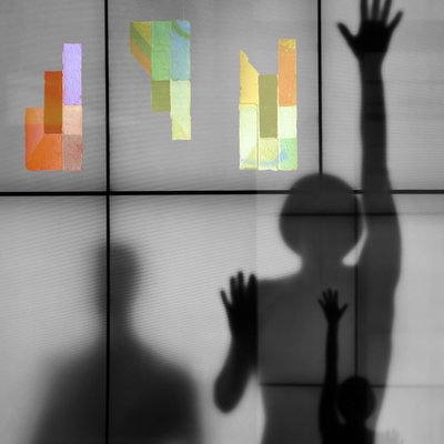 Résumé : « Les ombres de la famille » - Igor Shrayer