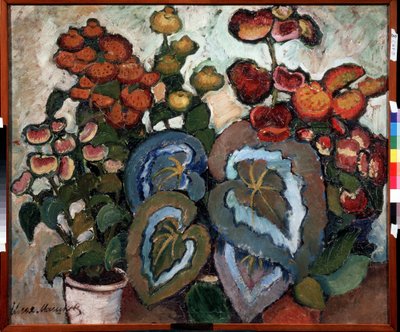 Bégonias - Ilya Ivanovich Mashkov