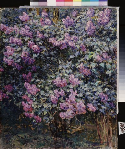 Lilas - Ilya Ostrouhov