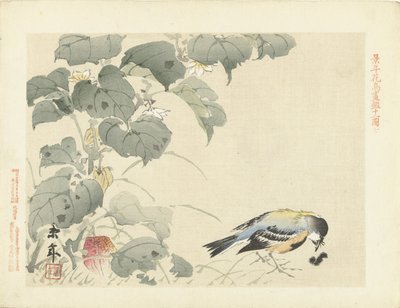 Oiseau près d