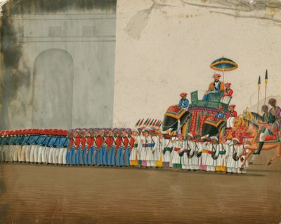 Sultan à dos d