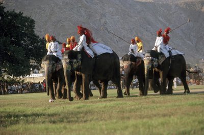 Hommes jouant au polo à dos d