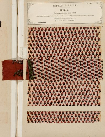 Échantillon de turban en coton grossier de Sydapet à Madras, de The Collection of the Textile Manufacturers of India, par John Forbes Watson, publié en 1866 - Indian School