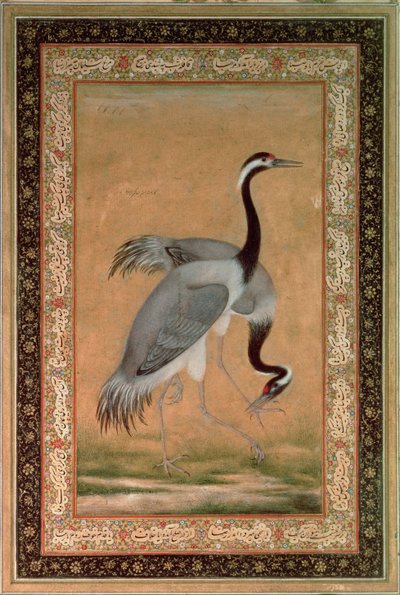 Grues de Mansur, Période Jahangir, Mughal - Indian School
