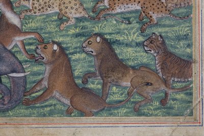 (détail) Le Chacal qui se proclama roi, c.1560-65 - Indian School