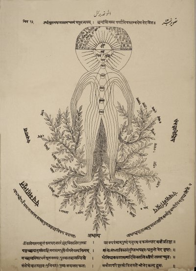 Diagramme montrant les points méridiens sur le corps humain - Indian School