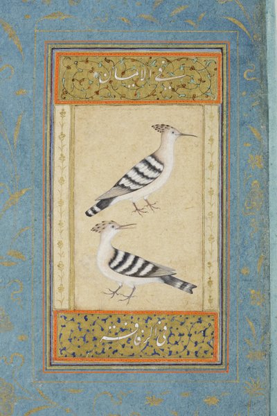 Huppes - Indian School