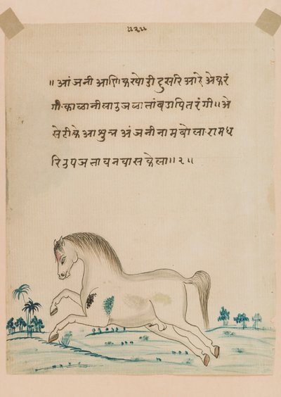 Cheval - Indian School