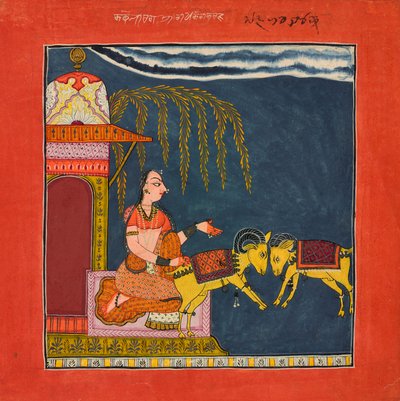 Kaccheli Ragini, d
