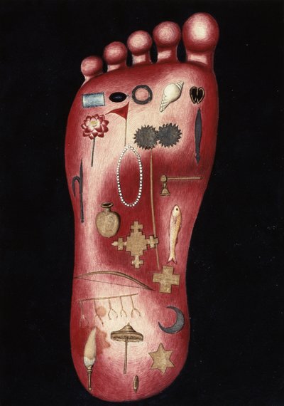 Le pied de Rama, de l