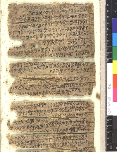Fragments de manuscrit en écorce de bouleau en Kharoṣṭhī - Indian School
