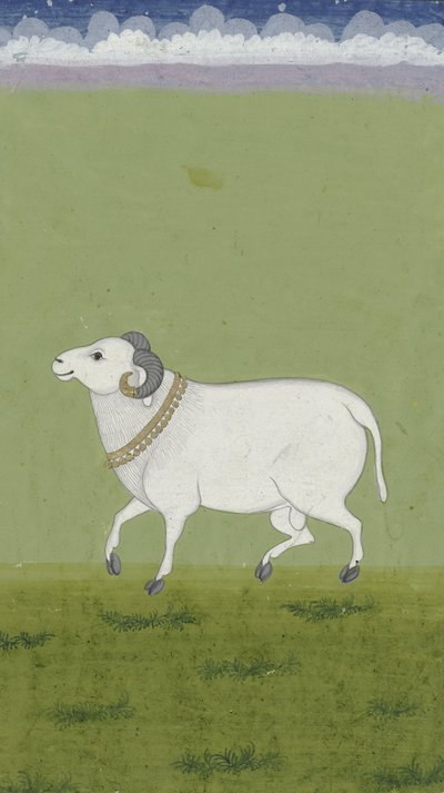 Bélier avec collier doré, 1700-1799 - Indian School