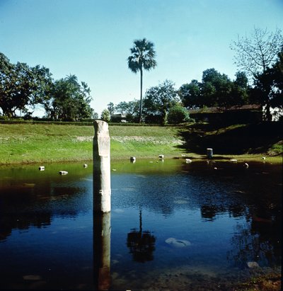 Ruines du Palais de Pataliputra - Indian School