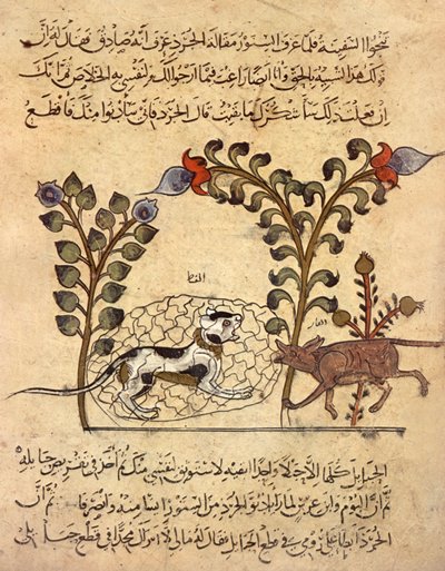 Le chat et le rat, miniature arabe de "Kalila va dimna" - Indian School