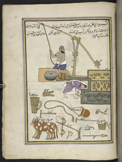 Cultivateurs de légumes avec puits - Indian School