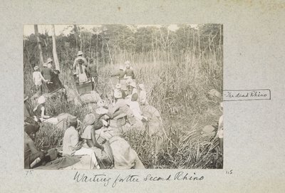 En attendant le deuxième rhinocéros, 