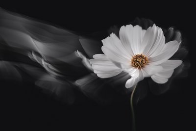  - Inna Karpova