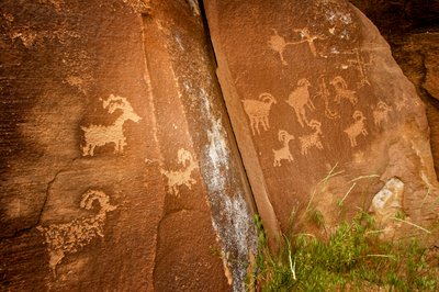 Dans le canyon de Nine Mile, panneaux de moutons près du site de pétroglyphes de Sandhill Crane, 2005 - Ira Block