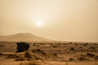 Dunes de sable dans le désert d