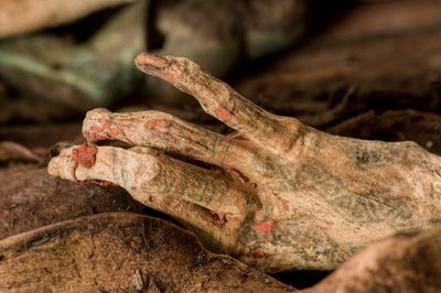 Le corps de la momie révélé montrant une peau bien préservée et des tatouages sur les mains et les bras. Il a été déterminé que la momie était une femme à ce stade, très inhabituel en raison des « poras » ou massues de guerre trouvées avec elle - Ira Block