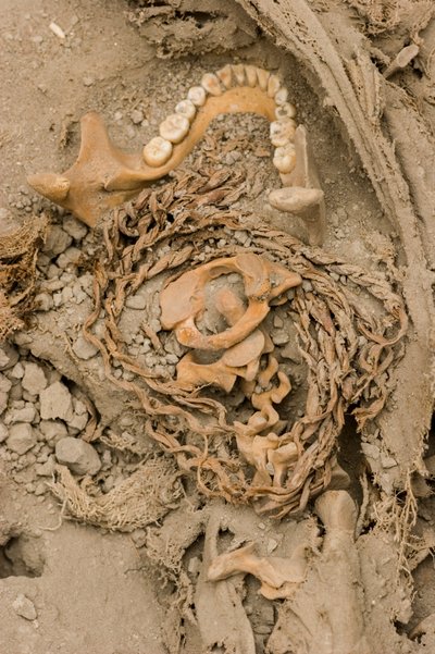 Les restes du sacrifice féminin, 2005 - Ira Block