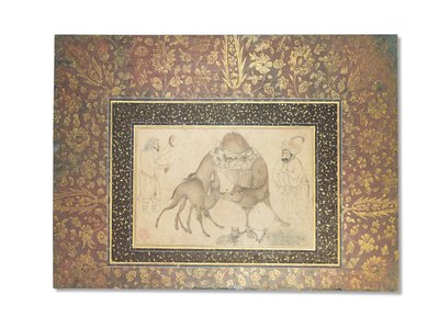 Une chamelle et son veau, Iran safavide, 1650-1700 - Iranian School