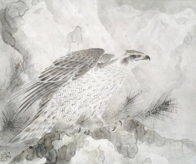 Faucon - Irie Hako