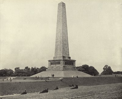 Le témoignage de Wellington, parc Phoenix - Irish Photographer
