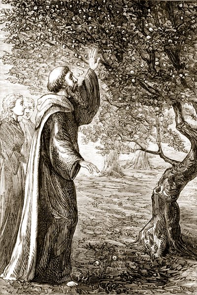 Saint Columba change des fruits amers en fruits doux, de The Trias Thaumaturga, ou Trois Saints Thaumaturges d