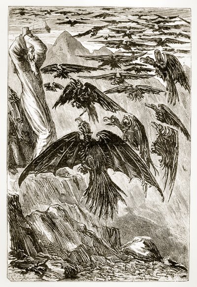 Saint Patrick et les oiseaux démons, de The Trias Thaumaturga, ou Trois Saints Thaumaturges d