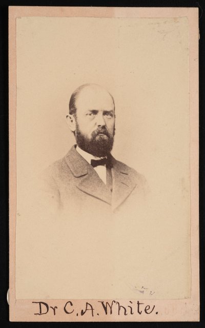 Portrait de Charles Abiathar White 1826-1910, 1868 - Isaac Augustus Wetherby