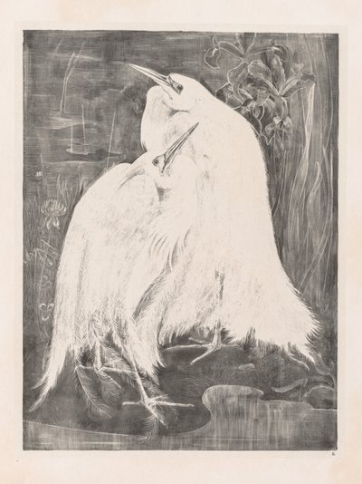 Études d