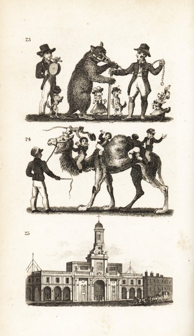 Ours dansant et chien, chameau et singe et la Bourse royale - Isaac Taylor