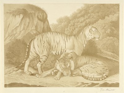 Deux tigres dans un paysage - Isaac van Haastert (signed by artist)