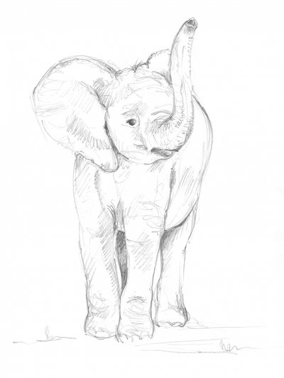Bébé éléphant 02 - Isabelle Brent