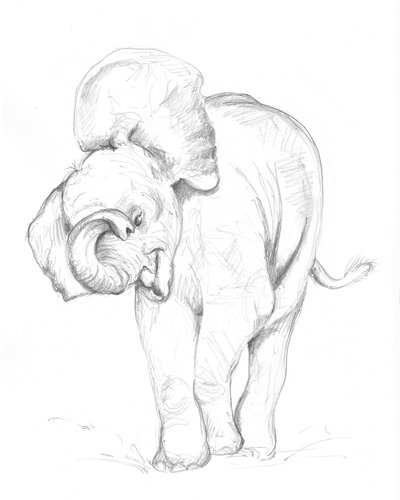 Bébé éléphant 02 - Isabelle Brent