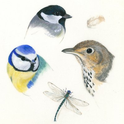 Étude d