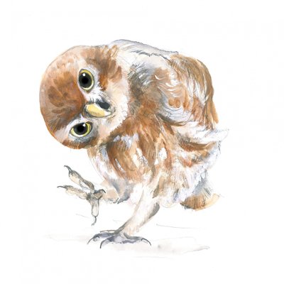 Hibou curieux - Isabelle Brent