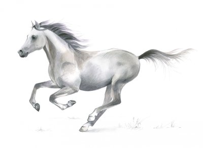 Grâce dynamique d