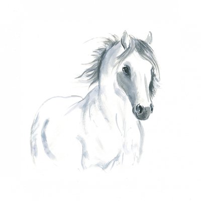 Étude de cheval en mouvement - Isabelle Brent