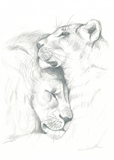Sérénité du lion - Isabelle Brent