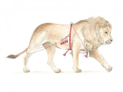 Lion harnaché - Isabelle Brent