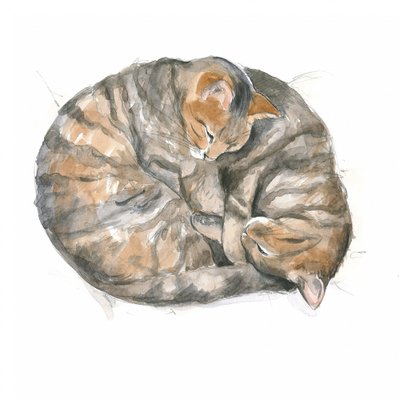 Chats ronds - Isabelle Brent