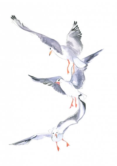 Vol de mouette - Isabelle Brent