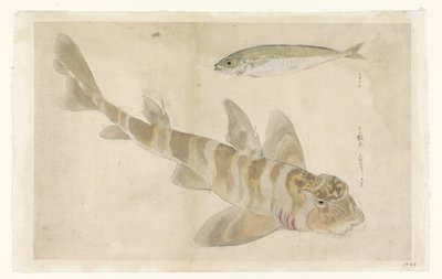 Deux poissons : grondin (?) et hareng - Ishikawa Kazan